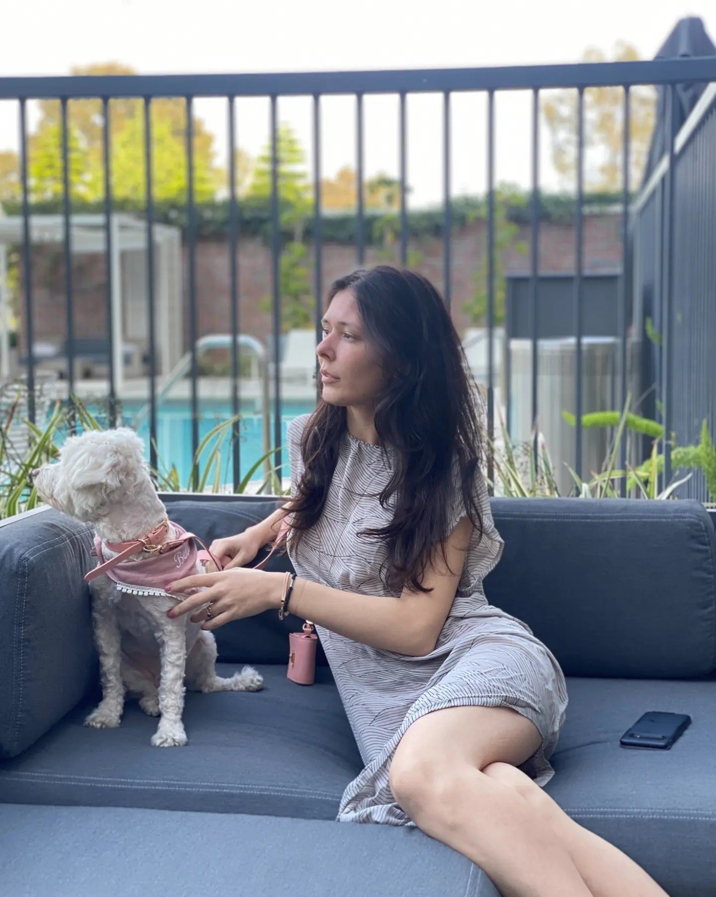 A Guide to a PetFriendly Hotel Stay at Cambria Hotel LAX